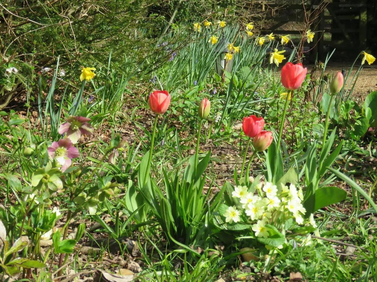 Fernwood Bed & Breakfast Ringwood United Kingdom